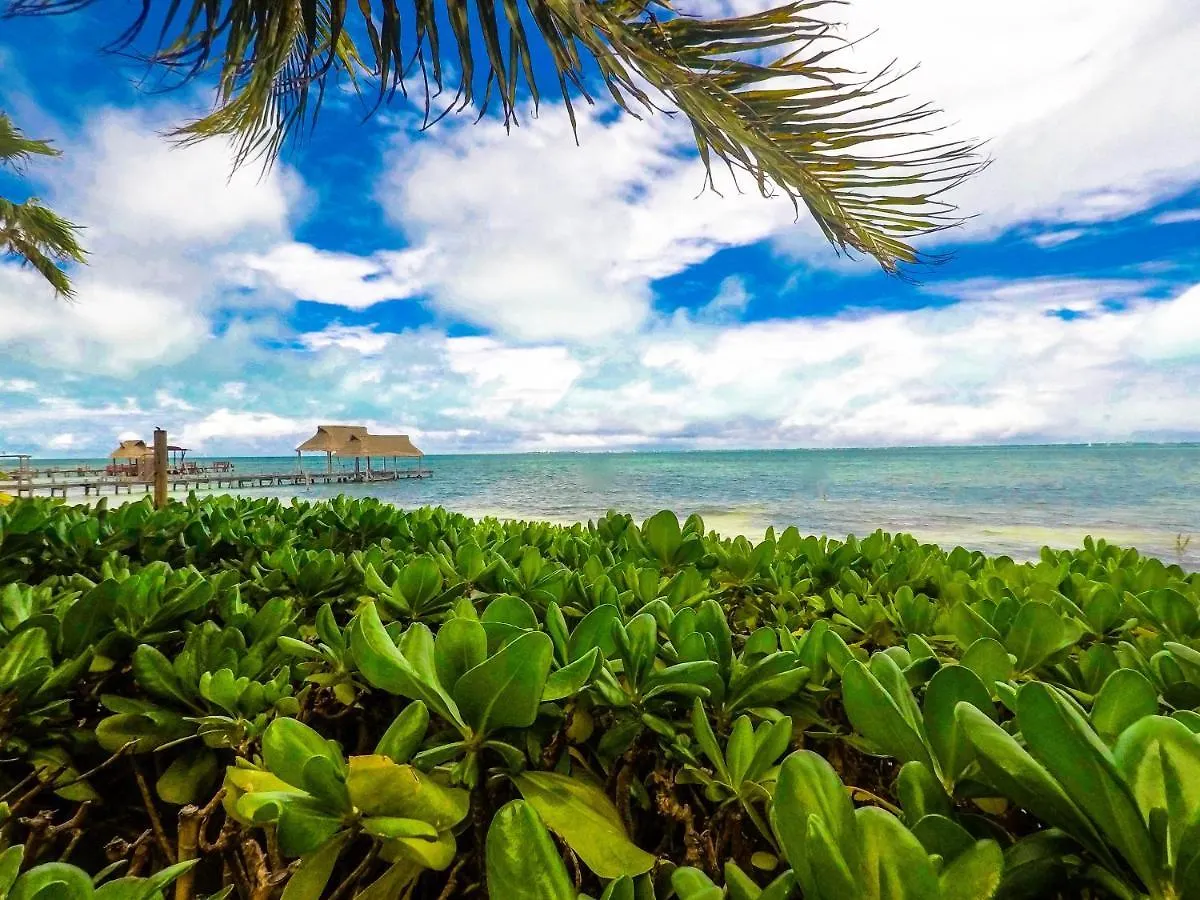 Guest house Punta Me Beach Suites
